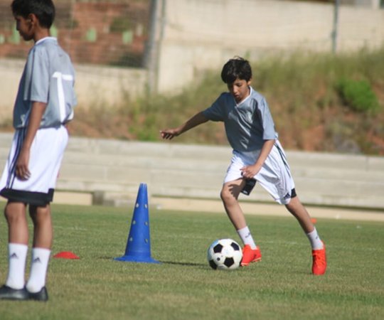 Stage Arabia Training