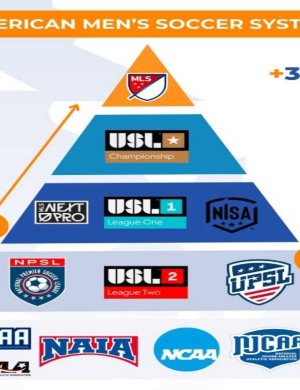 Chasing Growth or Losing Balance? The Expansion Dilemma in Professional Leagues